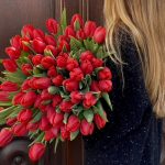 Nos belles tulipes rouges